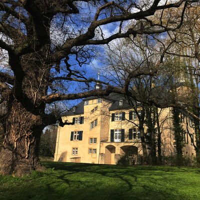 Bild vergr&ouml;&szlig;ern: Bodenburg Schloss Fr&uuml;hling Eichensolit&auml;r