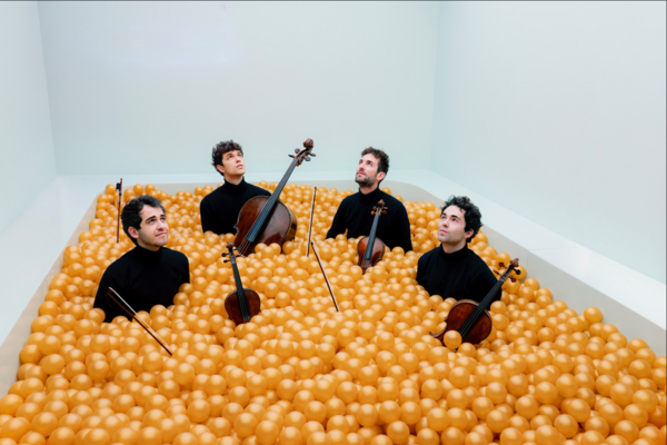 Vier junge Männer in schwarzen Rollkragenpullovern sitzen in einem Bällebad mit gelb-goldenen Bällen. Sie schauen alle in die Luft, manche lächeln, andere gucken ernst. Ebenfalls aus dem Bällebad schauen ihre Streichinstrumente - Geigen, Bratschen und ein Cello.