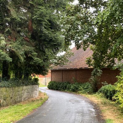 Bild vergr&ouml;&szlig;ern: Weenzen3