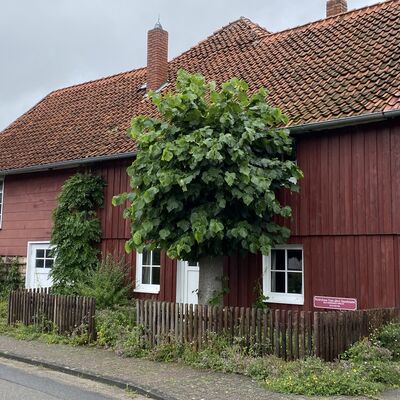 Bild vergr&ouml;&szlig;ern: Weenzen5