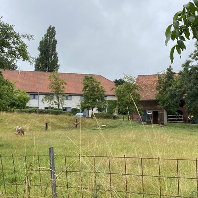 Bild vergr&ouml;&szlig;ern: Weenzen7