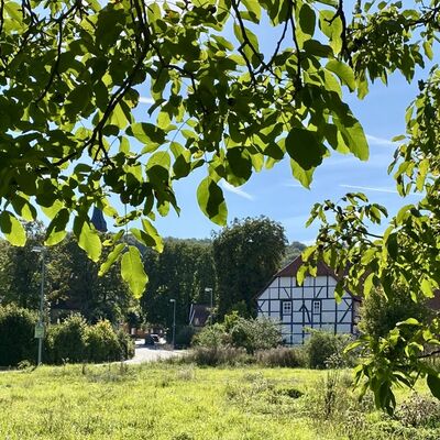 Bild vergr&ouml;&szlig;ern: Wrisbergholzen13