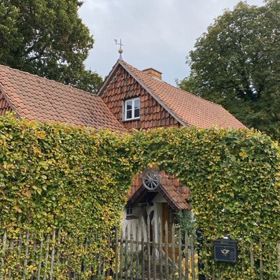 Bild vergr&ouml;&szlig;ern: Wrisbergholzen33