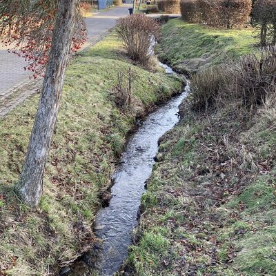 Bild vergr&ouml;&szlig;ern: Selle