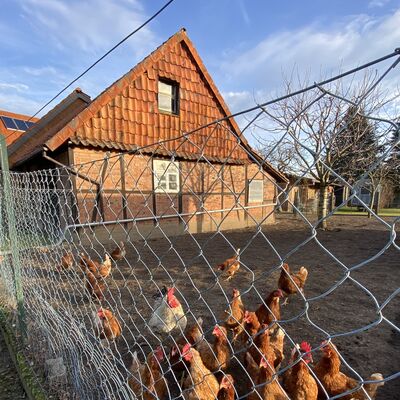 Bild vergr&ouml;&szlig;ern: Sellenstedt6