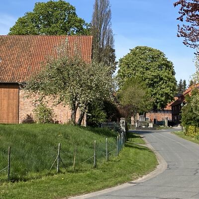 Bild vergr&ouml;&szlig;ern: (Westfeld5)