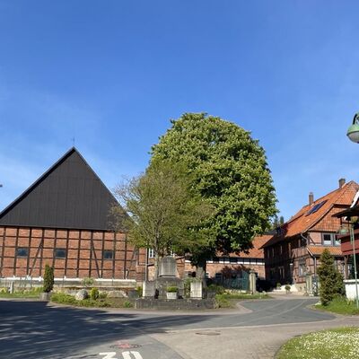 Bild vergr&ouml;&szlig;ern: (Westfeld11)