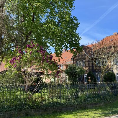 Bild vergr&ouml;&szlig;ern: (Westfeld20)