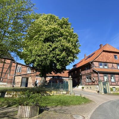 Bild vergr&ouml;&szlig;ern: Hof_Piel2
