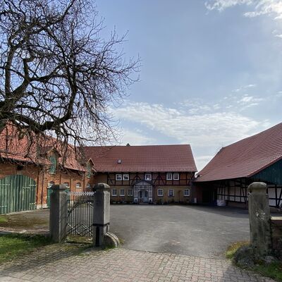 Bild vergr&ouml;&szlig;ern: Grafelde3