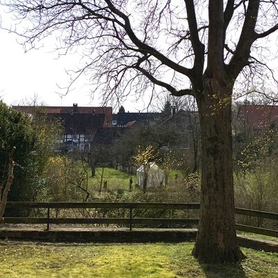 Bild vergr&ouml;&szlig;ern: Grafelde8