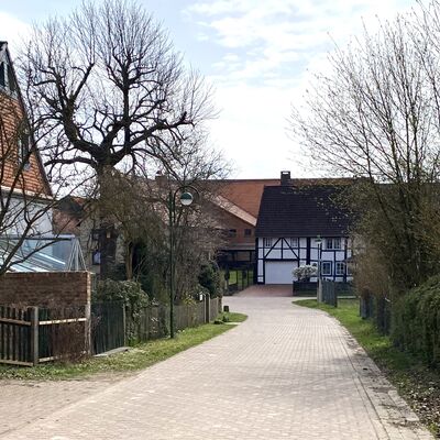 Bild vergr&ouml;&szlig;ern: Grafelde10