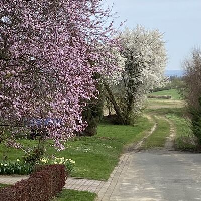 Bild vergr&ouml;&szlig;ern: Grafelde15