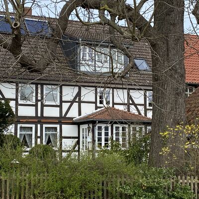 Bild vergr&ouml;&szlig;ern: Grafelde19