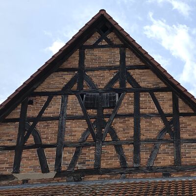 Bild vergr&ouml;&szlig;ern: Grafelde21