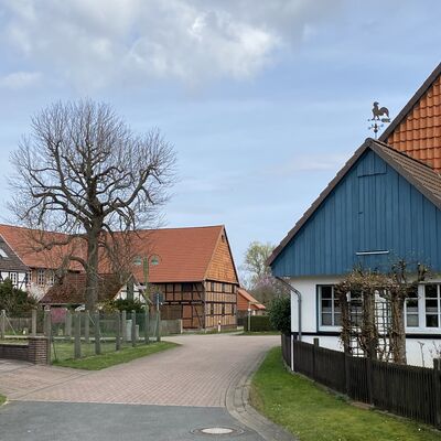 Bild vergr&ouml;&szlig;ern: Grafelde22