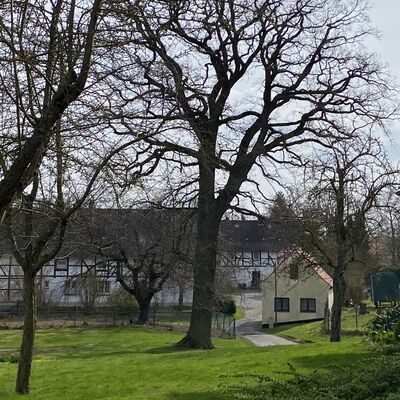 Bild vergr&ouml;&szlig;ern: Grafelde25