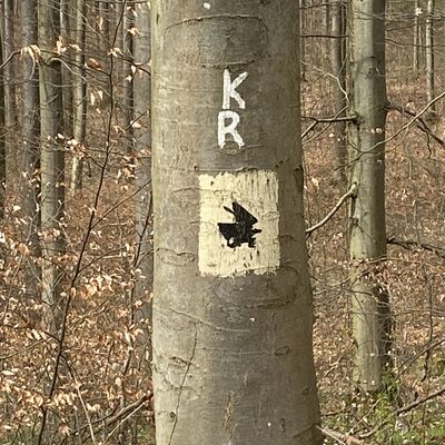 Bild vergr&ouml;&szlig;ern: Wanderwege5