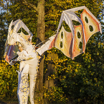 Bild vergr&ouml;&szlig;ern: hochkant_drache_13