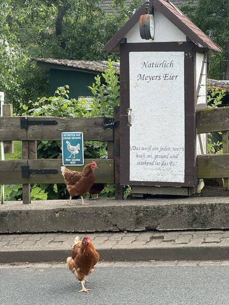 Bild vergr&ouml;&szlig;ern: Bauer_MeyerKoppelweg_3