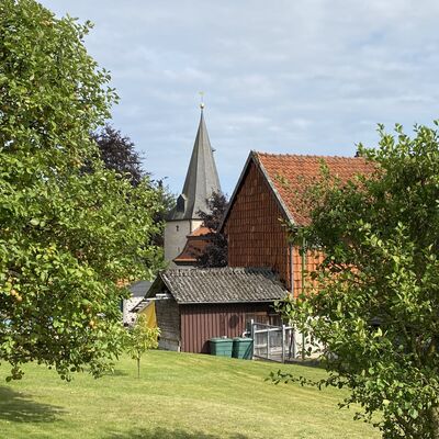 Bild vergr&ouml;&szlig;ern: Almstedt13