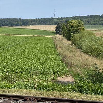 Bild vergr&ouml;&szlig;ern: Fernsehturm_Griesberg