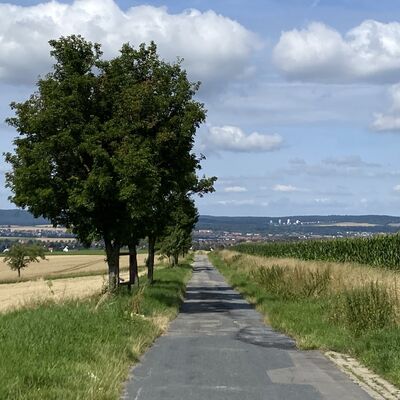 Bild vergr&ouml;&szlig;ern: Gro&szlig;_(Aussicht_Blick_Lechstedt_auf_Hi)