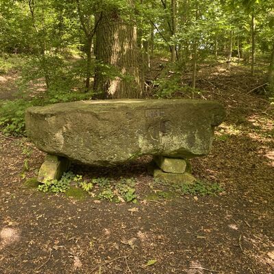Bild vergr&ouml;&szlig;ern: Gro&szlig;_(Erinnerungsstein_Lechstedter_Teich1)