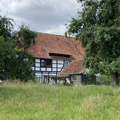 Bild vergr&ouml;&szlig;ern: Gro&szlig;_(Gut2)