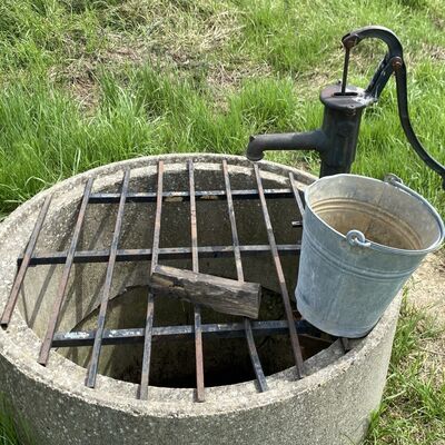 Bild vergr&ouml;&szlig;ern: Gro&szlig;_(Hellebrunnen4)