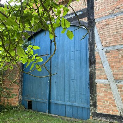 Bild vergr&ouml;&szlig;ern: Gro&szlig;_(Lechstedt17)