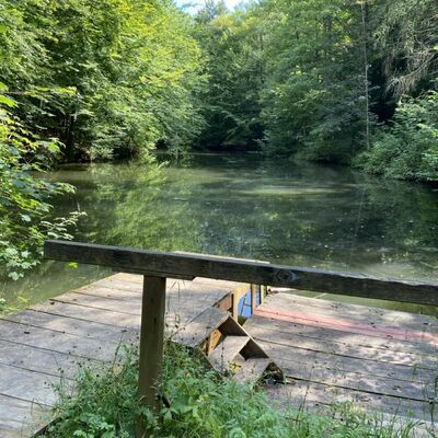 Bild vergr&ouml;&szlig;ern: Gro&szlig;_(Lechstedter_Teich2)