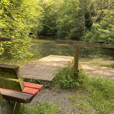 Bild vergr&ouml;&szlig;ern: Gro&szlig;_(Lechstedter_Teich3)