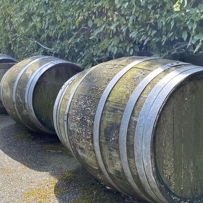 Bild vergr&ouml;&szlig;ern: Gro&szlig;_(Obstweinsch&auml;nke4)