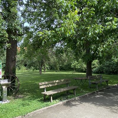 Bild vergr&ouml;&szlig;ern: Gro&szlig;_(PfarrgartenBoulebahn3)