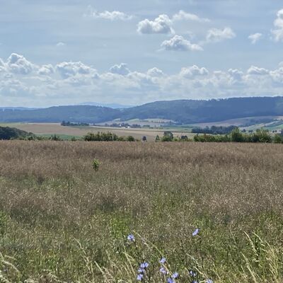 Bild vergr&ouml;&szlig;ern: Gro&szlig;_(Aussicht_Brockenblick)