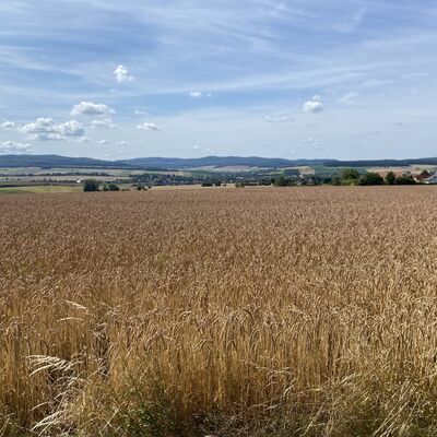 Bild vergr&ouml;&szlig;ern: Gro&szlig;_(LechstedtBlick_auf_Heinde)