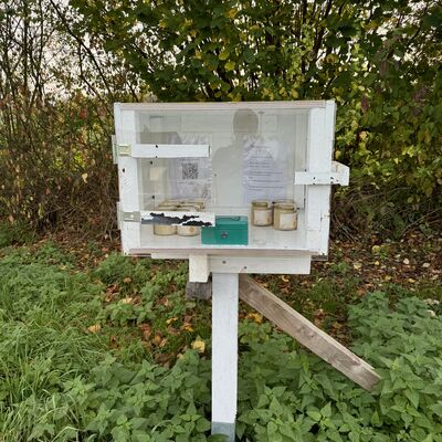 Bild vergr&ouml;&szlig;ern: Honigverkauf