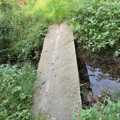 Bild vergr&ouml;&szlig;ern: Hopfengarten_Feuchtgebiet2