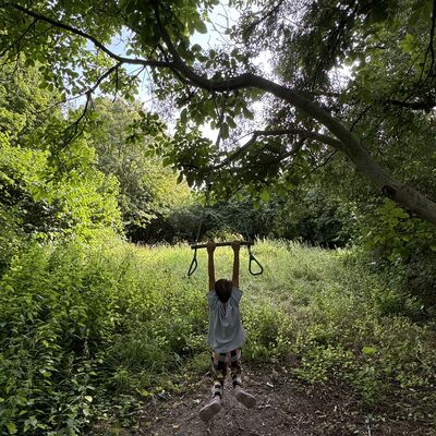 Bild vergr&ouml;&szlig;ern: Hopfengarten_Schaukel