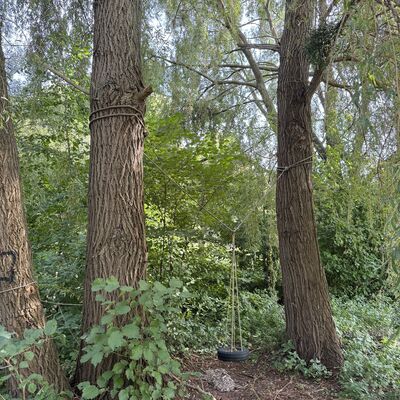 Bild vergr&ouml;&szlig;ern: Hopfengarten_Spielger&auml;te