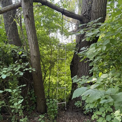 Bild vergr&ouml;&szlig;ern: Hopfengarten_Strickleiter