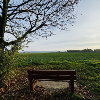 Bild vergr&ouml;&szlig;ern: Klagesberg_Blick_S&ouml;hre