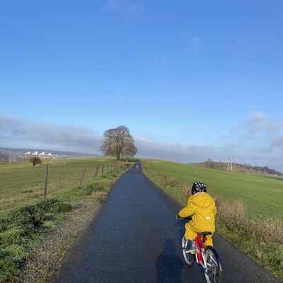 Bild vergr&ouml;&szlig;ern: M&uuml;hlenberg_Linde_Weg