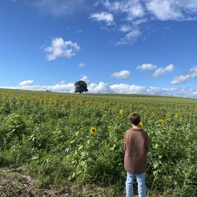 Bild vergr&ouml;&szlig;ern: M&uuml;hlenberg_mit Linde4