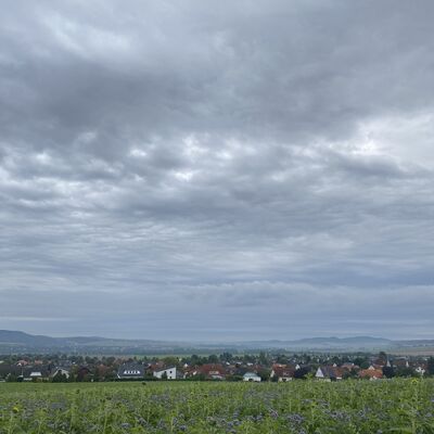 Bild vergr&ouml;&szlig;ern: M&uuml;hlenberg4_Blick