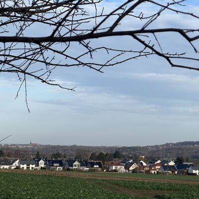 Bild vergr&ouml;&szlig;ern: Neubausiedlung