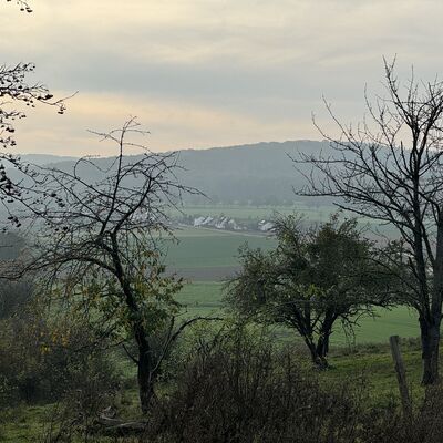 Bild vergr&ouml;&szlig;ern: Schwarze_Heide_Streuobstwiese