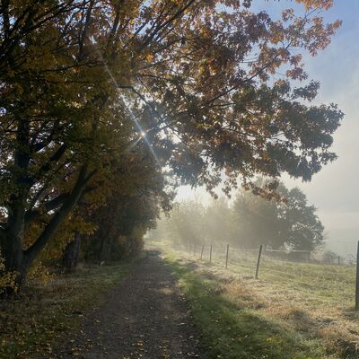 Bild vergr&ouml;&szlig;ern: Schwarze_Heide_Weg