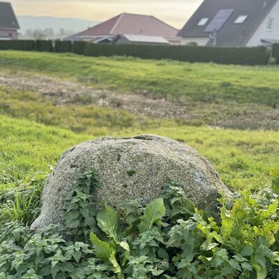 Bild vergr&ouml;&szlig;ern: Findling_historisch